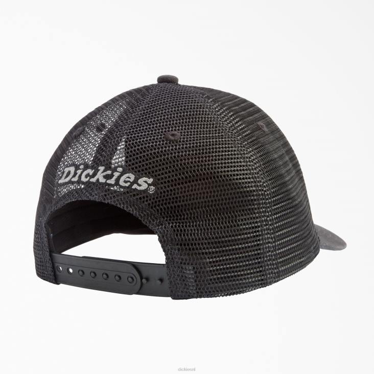 uniseks Dickies canvas truckerpet zwart (bk) accessoires 6F0X2799