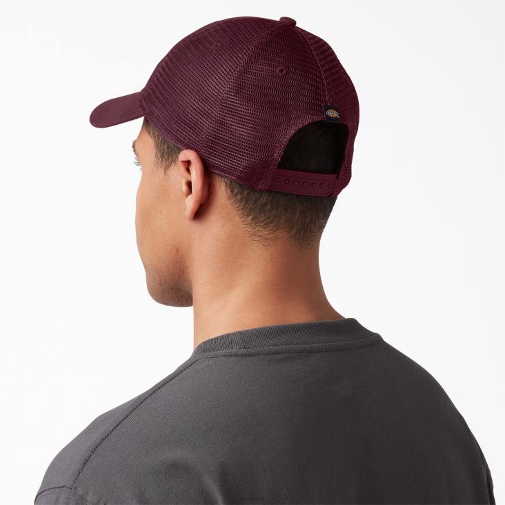 uniseks Dickies canvas vrachtwagenchauffeurhoed bordeaux (door) accessoires 6F0X2851
