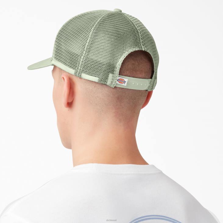 uniseks Dickies patch logo trucker pet celadon groen/wolk (c2c) accessoires 6F0X2904