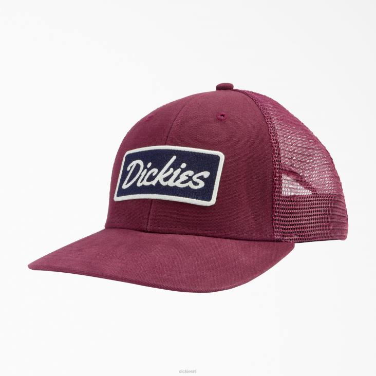 uniseks Dickies patch logo trucker pet kastanjebruin (meneer) accessoires 6F0X2909