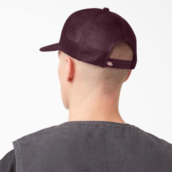 uniseks Dickies patch logo trucker pet kastanjebruin (meneer) accessoires 6F0X2909