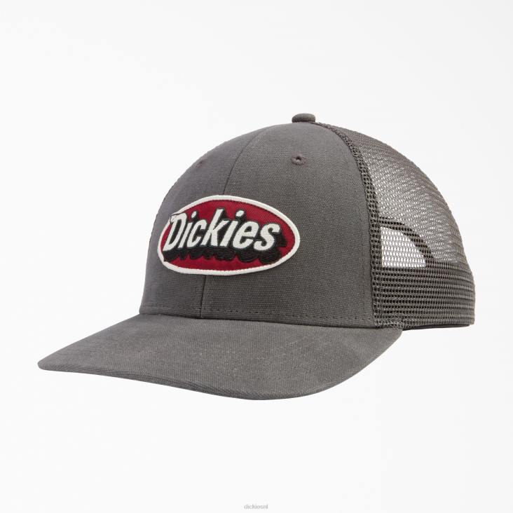 uniseks Dickies patch logo trucker pet leigrijs (sl) accessoires 6F0X2910