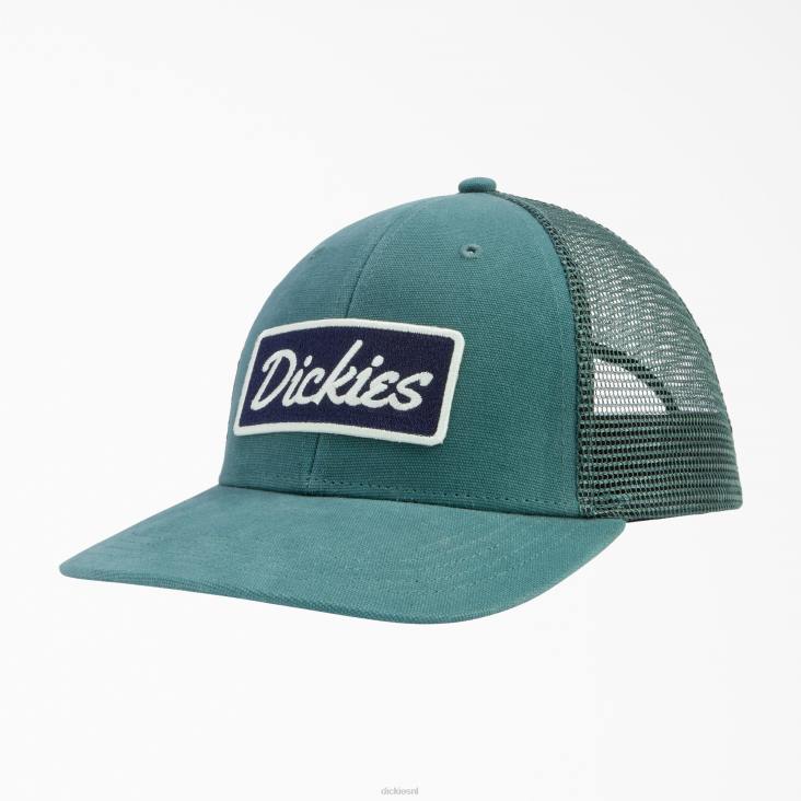 uniseks Dickies patch logo trucker pet lincoln groen (ln) accessoires 6F0X2908