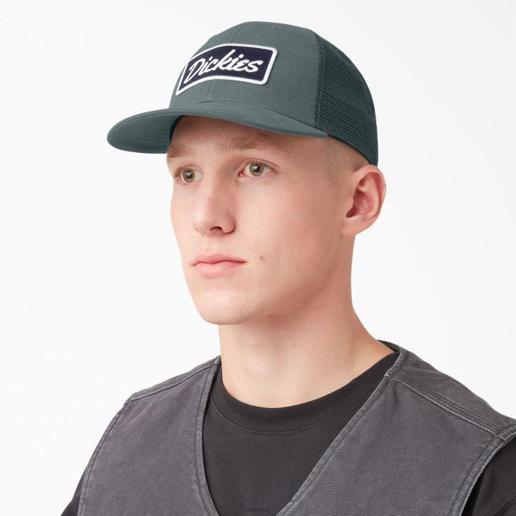 uniseks Dickies patch logo trucker pet lincoln groen (ln) accessoires 6F0X2908