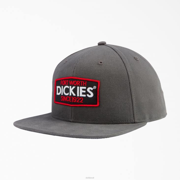 uniseks Dickies platte klep met logopatch leigrijs (sl) accessoires 6F0X2895