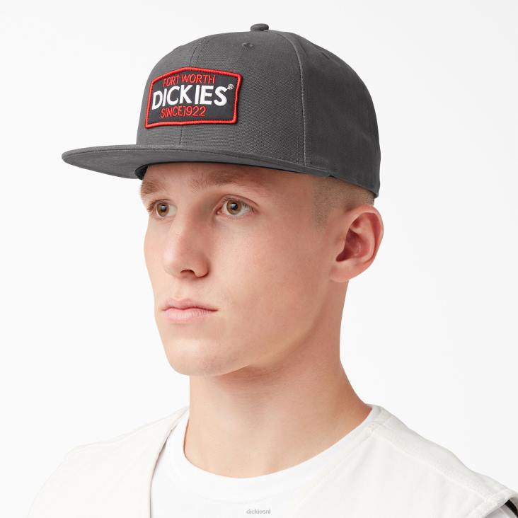 uniseks Dickies platte klep met logopatch leigrijs (sl) accessoires 6F0X2895