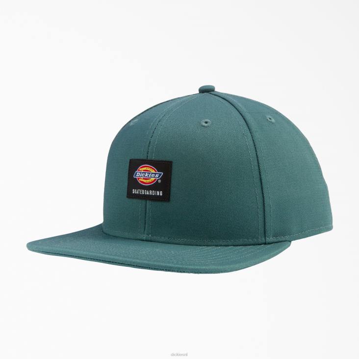 uniseks Dickies skateboarden flat bill cap lincoln groen (ln) accessoires 6F0X2846