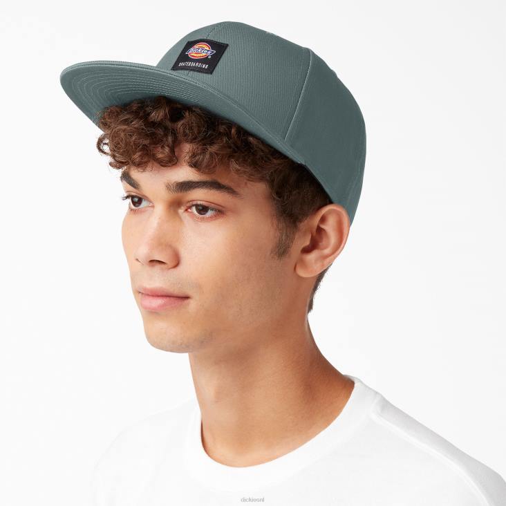 uniseks Dickies skateboarden flat bill cap lincoln groen (ln) accessoires 6F0X2846