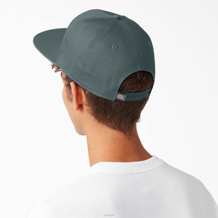 uniseks Dickies skateboarden flat bill cap lincoln groen (ln) accessoires 6F0X2846