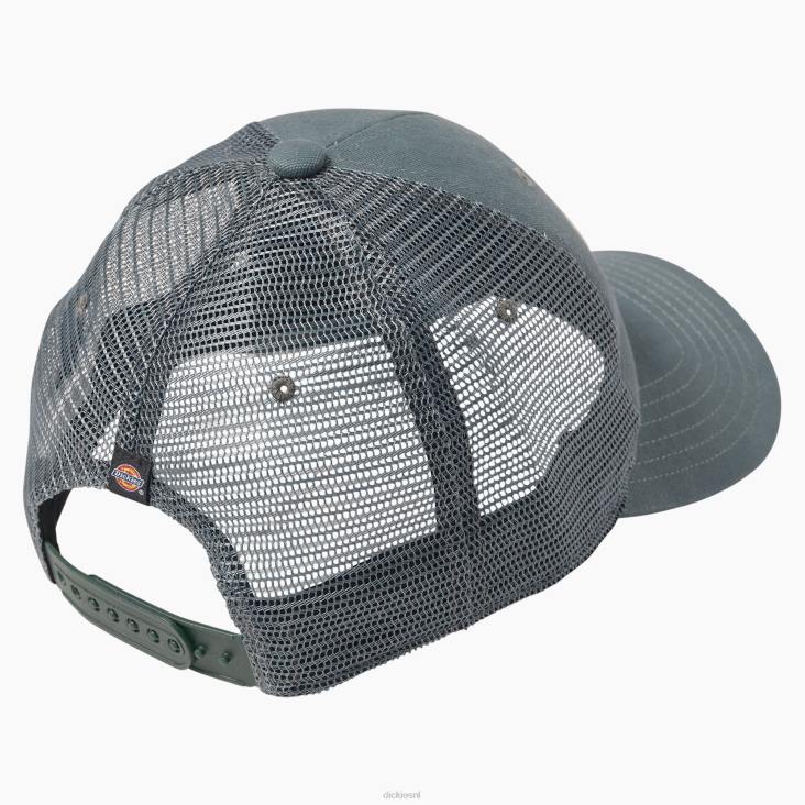 uniseks Dickies werkkleding patch canvas trucker cap lincoln groen (ln) accessoires 6F0X2805