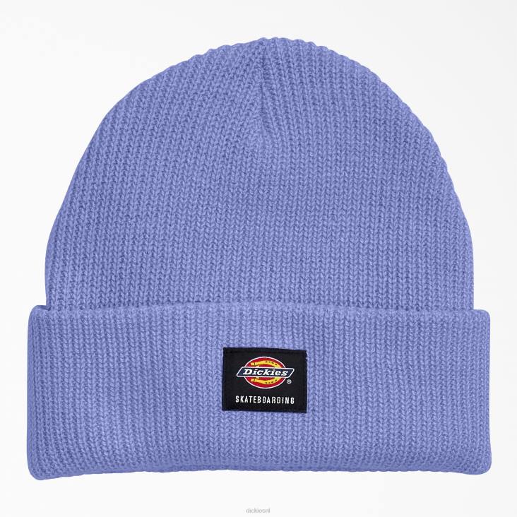 uniseks Dickies Skateboard beanie met manchetten jakaranda (j2a) accessoires 6F0X2827