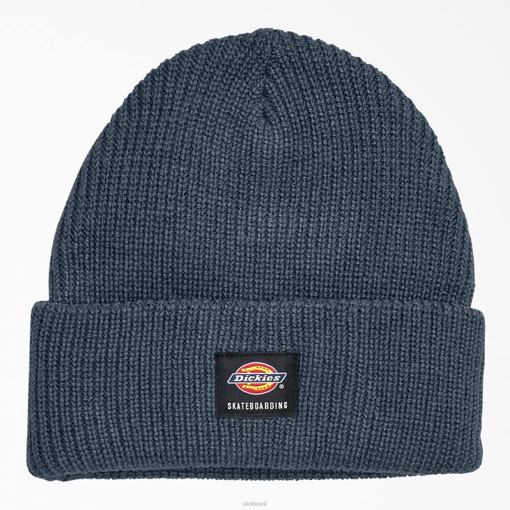 uniseks Dickies Skateboard beanie met manchetten luchtmacht blauw (af) accessoires 6F0X2820