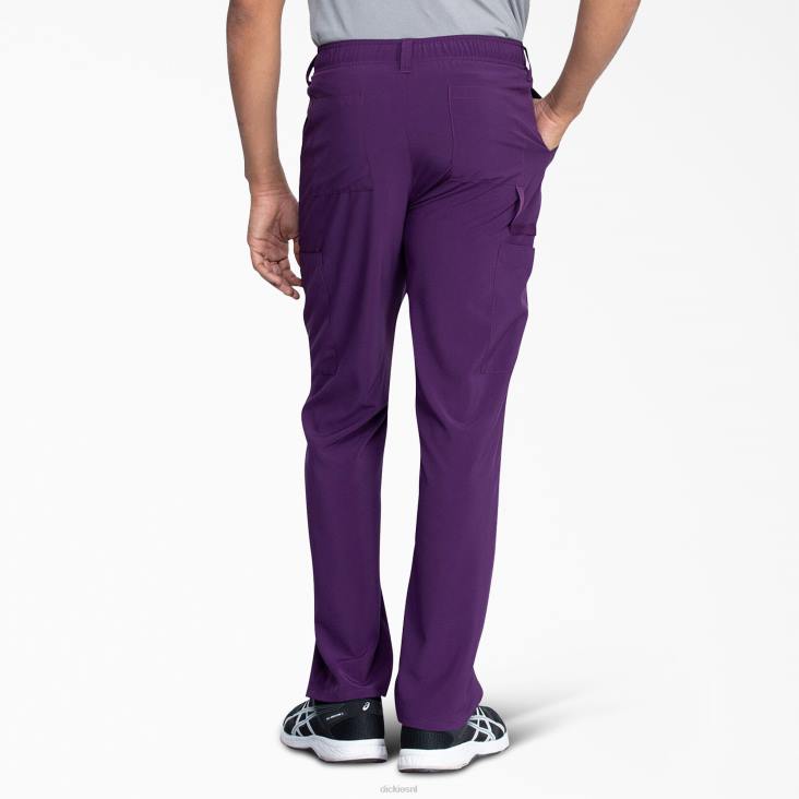 Heren Dickies eds essentials scrubbroek paarse aubergine (ei) kleding 6F0X1375