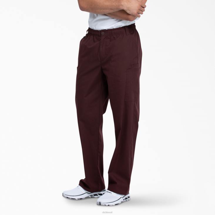 Heren Dickies eds kenmerkende cargo-scrubbroek espresso (esr) kleding 6F0X1224