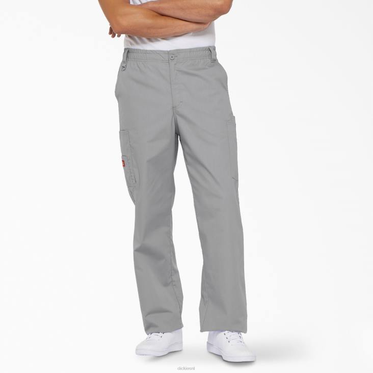Heren Dickies eds kenmerkende cargo-scrubbroek grijs (gy) kleding 6F0X1225