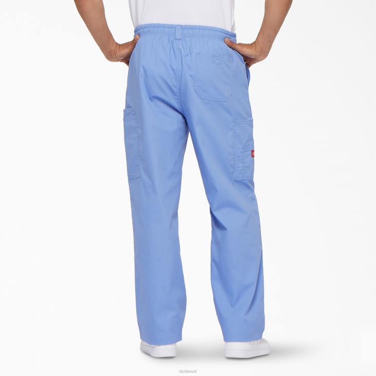 Heren Dickies eds kenmerkende cargo-scrubbroek plafond blauw (cbl) kleding 6F0X1221