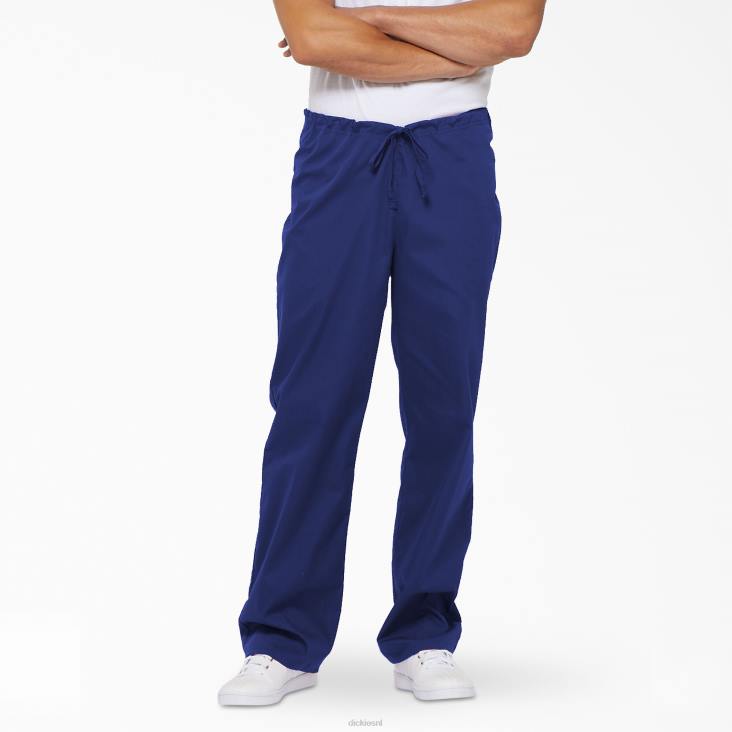 Heren Dickies unisex eds signature scrubbroek melkwegblauw (gbl) kleding 6F0X1312