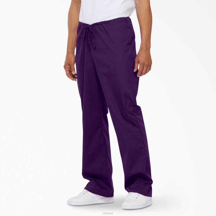 Heren Dickies unisex eds signature scrubbroek paarse aubergine (ei) kleding 6F0X1310