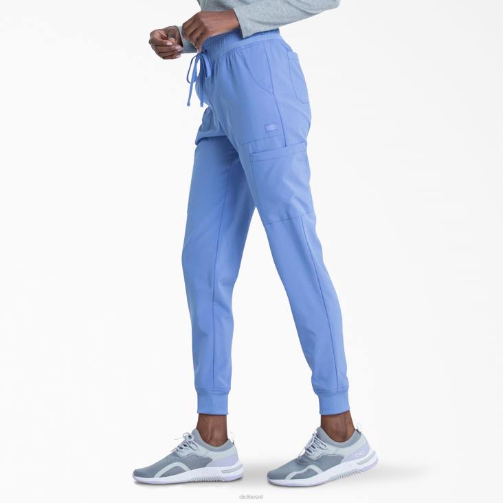 vrouwen Dickies eds essentials joggingbroek plafond blauw (cbl) kleding 6F0X2437