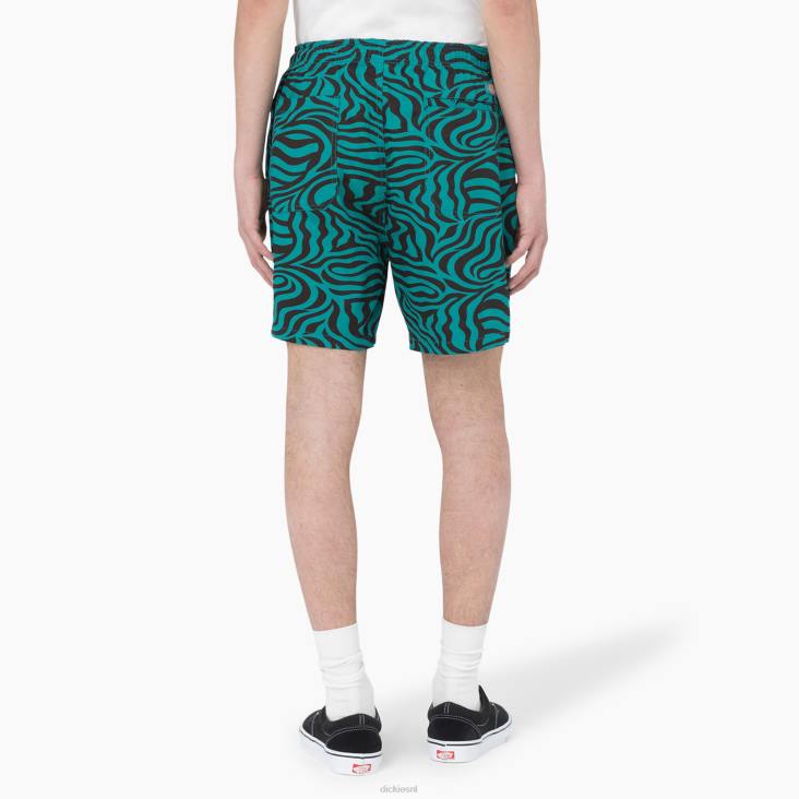 Heren Dickies korte broek met trekkoord en zebraprint 15 cm appelmunt (ar2) kleding 6F0X466
