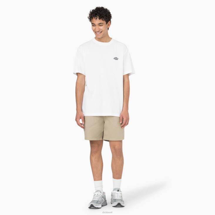 Heren Dickies pelikaan stroomversnelling korte broek 6 