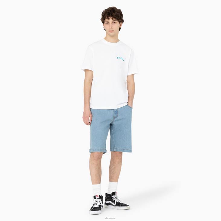 Heren Dickies skateboarden wingville shorts 11 