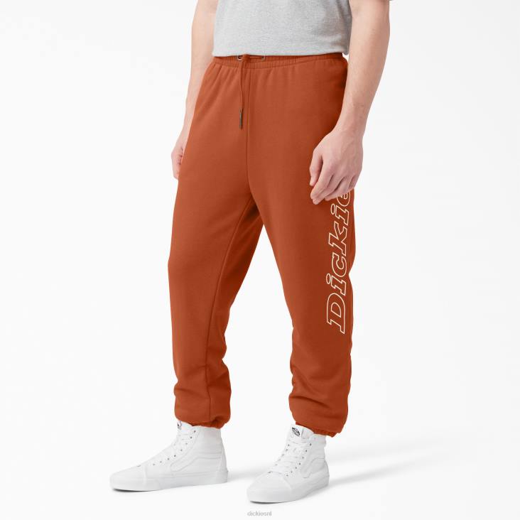Heren Dickies joggingbroek van uniontown normaal kleding 6F0X312
