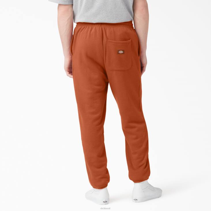 Heren Dickies joggingbroek van uniontown normaal kleding 6F0X312
