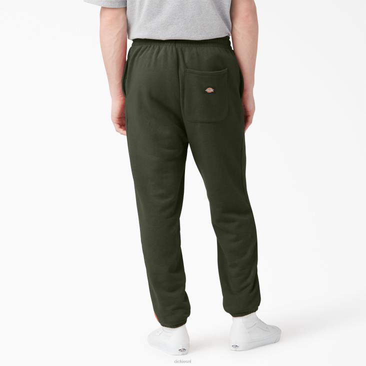 Heren Dickies joggingbroek van uniontown normaal kleding 6F0X314