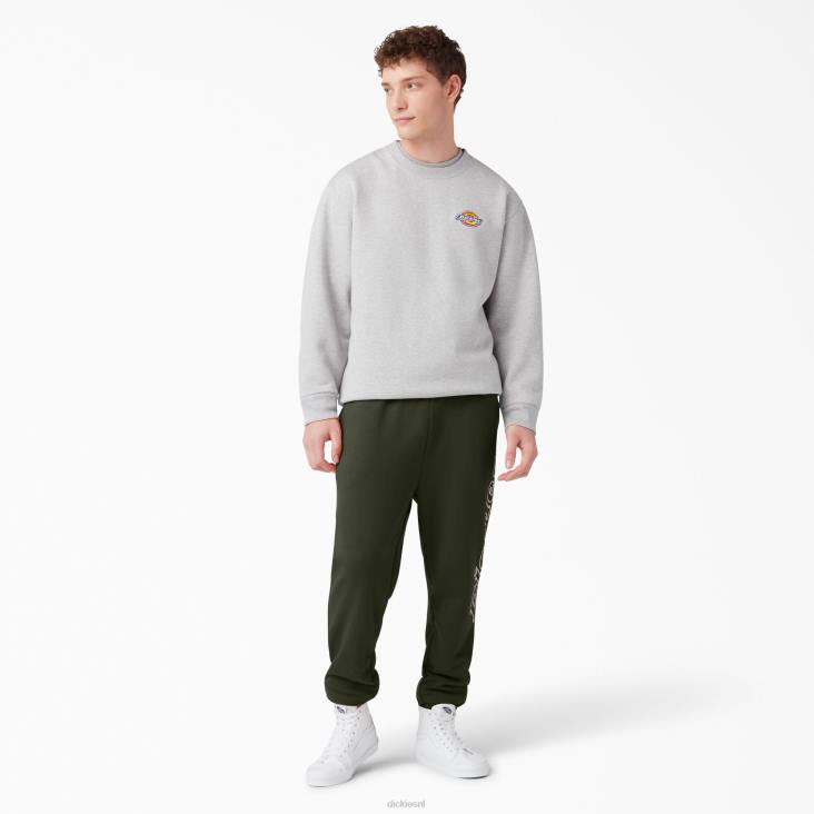 Heren Dickies joggingbroek van uniontown normaal kleding 6F0X314