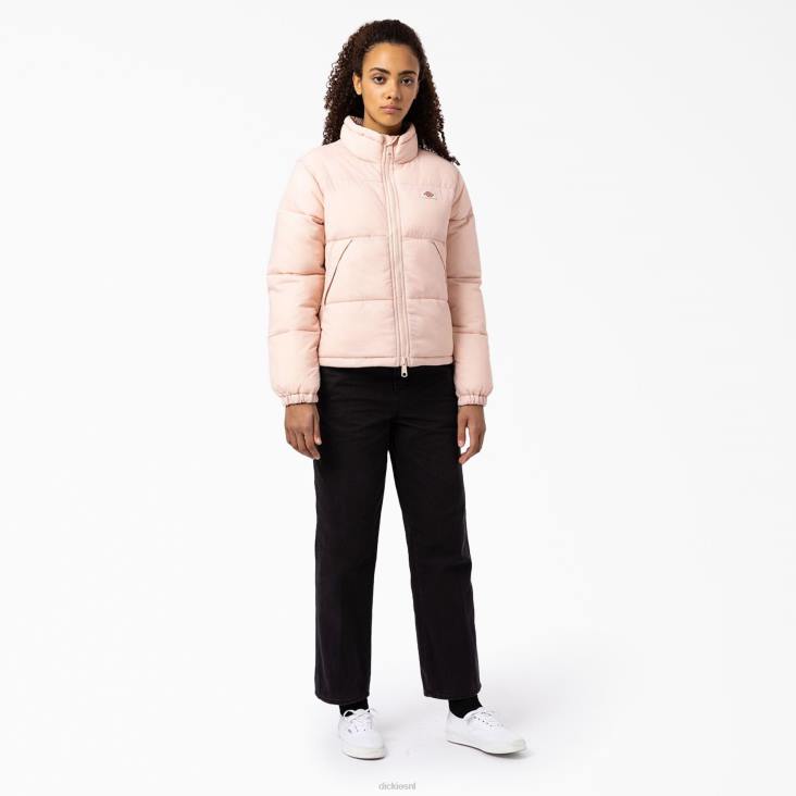 vrouwen Dickies eend canvas broek normaal kleding 6F0X1762