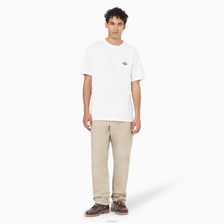 Heren Dickies regular fit stonewashed eend timmermansbroek stonewashed woestijnzand (sds) kleding 6F0X252