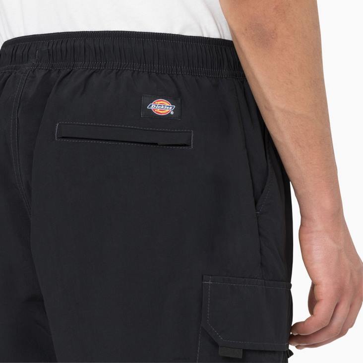 Heren Dickies jackson cargobroek 8