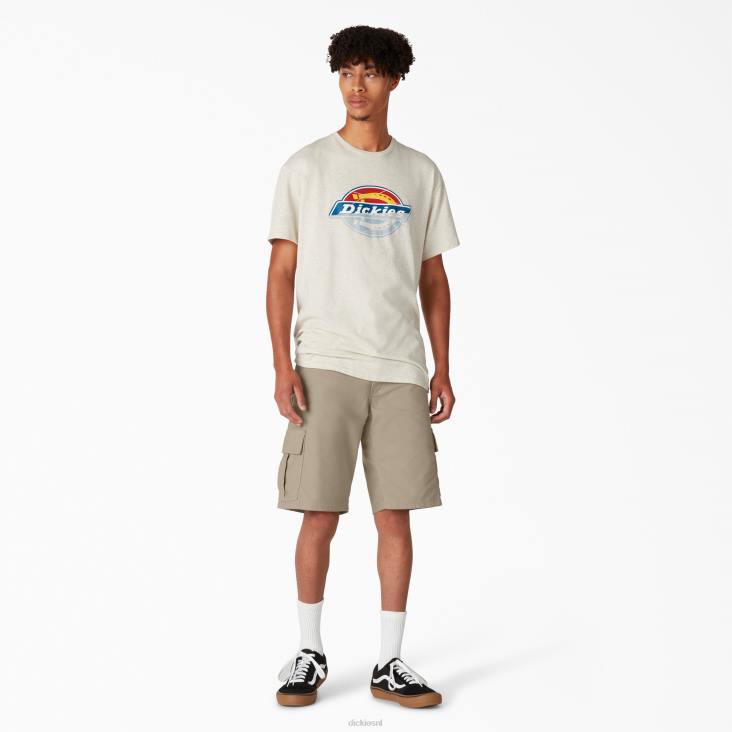 Heren Dickies korte broek voor skateboarden 11