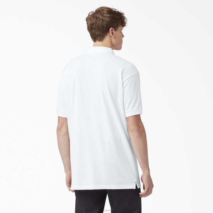 Heren Dickies piqué polo met korte mouwen voor volwassenen wit (wh) kleding 6F0X667