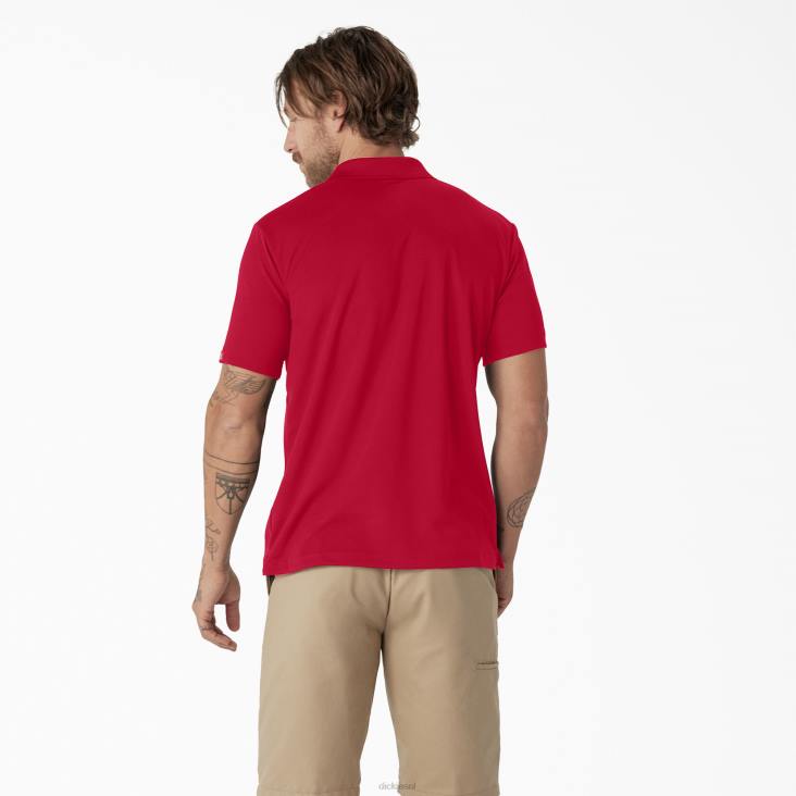Heren Dickies prestatiepolo met korte mouwen appel rood (lr) kleding 6F0X672