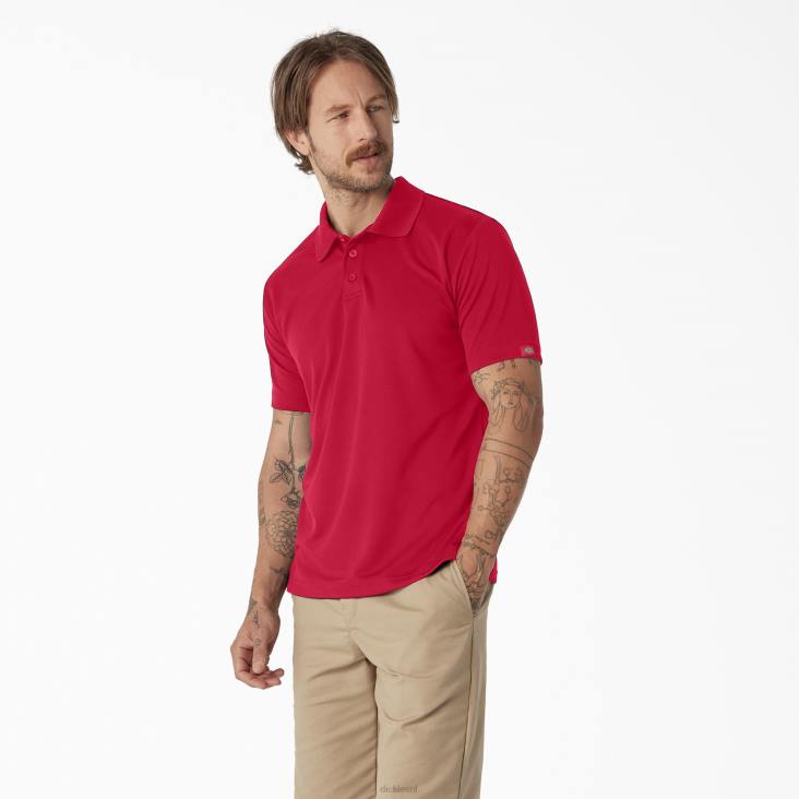 Heren Dickies prestatiepolo met korte mouwen appel rood (lr) kleding 6F0X672