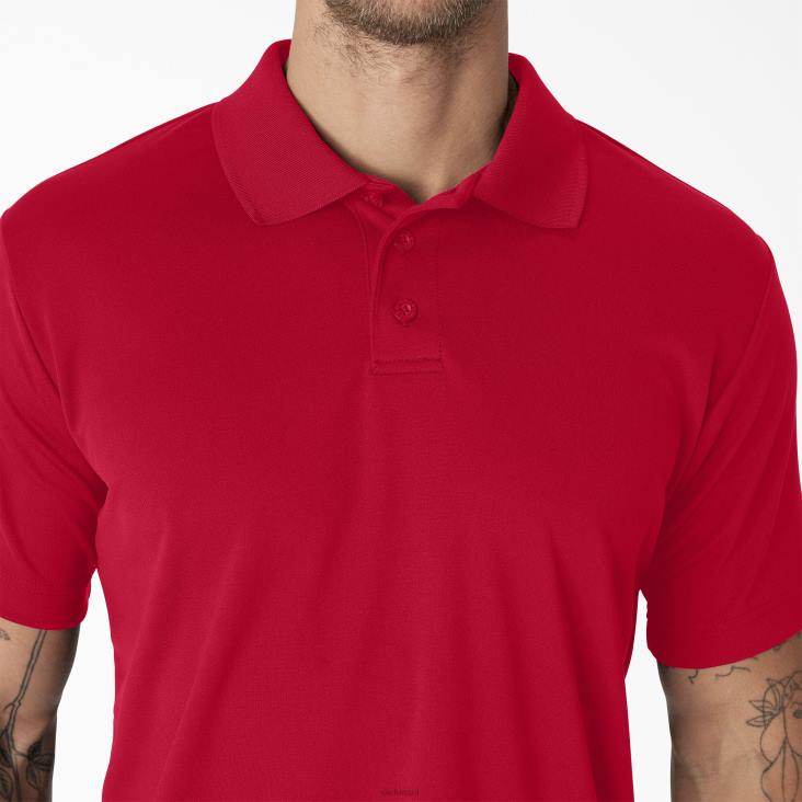 Heren Dickies prestatiepolo met korte mouwen appel rood (lr) kleding 6F0X672
