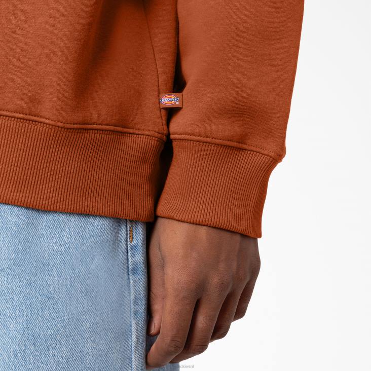 Heren Dickies Holtville-sweatshirt normaal kleding 6F0X1095