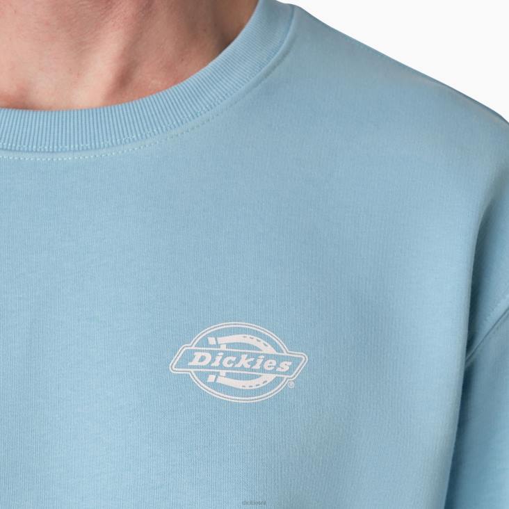 Heren Dickies Holtville-sweatshirt normaal kleding 6F0X1098