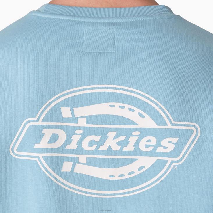 Heren Dickies Holtville-sweatshirt normaal kleding 6F0X1098