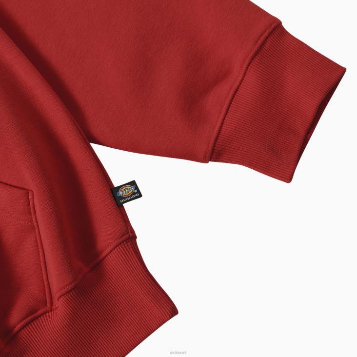 Heren Dickies Jake Hayes grafische hoodie normaal kleding 6F0X1087