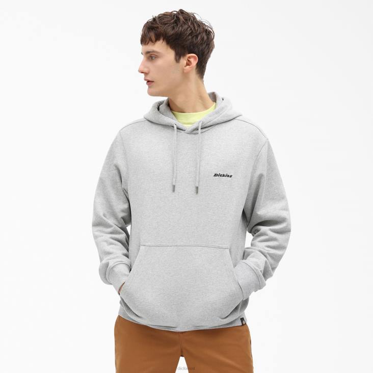 Heren Dickies Uniontown-hoodie normaal kleding 6F0X1090