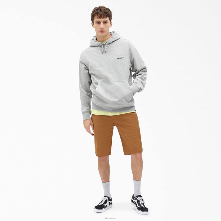 Heren Dickies Uniontown-hoodie normaal kleding 6F0X1090