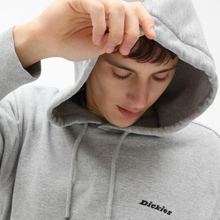 Heren Dickies Uniontown-hoodie normaal kleding 6F0X1090