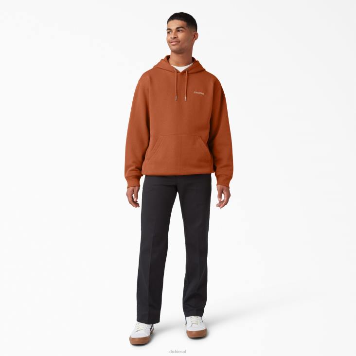 Heren Dickies Uniontown-hoodie normaal kleding 6F0X1091
