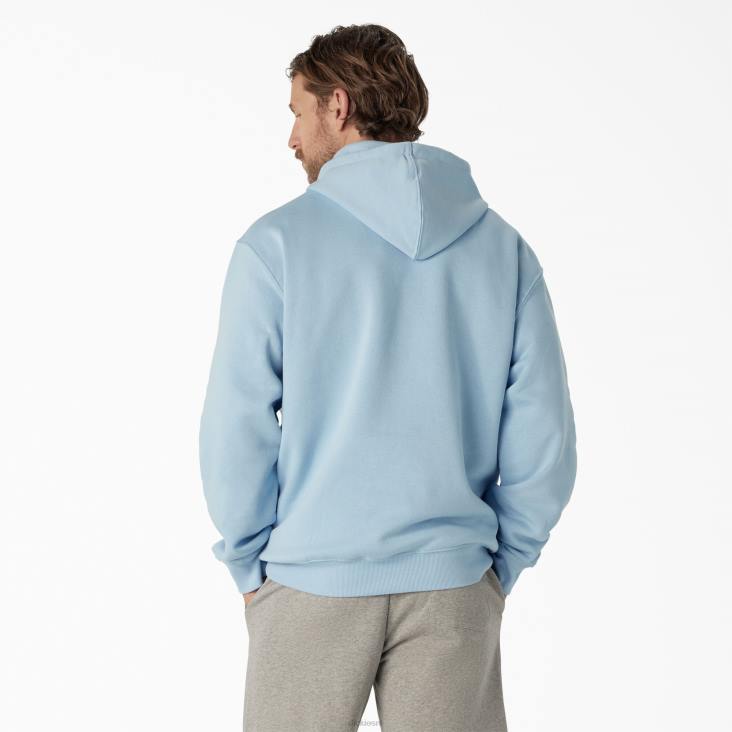 Heren Dickies Uniontown-hoodie normaal kleding 6F0X1094