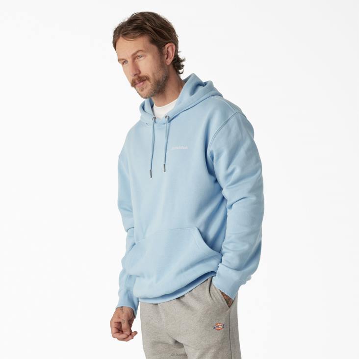 Heren Dickies Uniontown-hoodie normaal kleding 6F0X1094