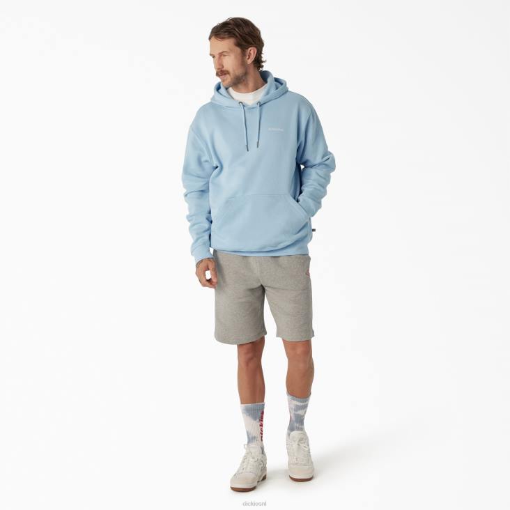 Heren Dickies Uniontown-hoodie normaal kleding 6F0X1094