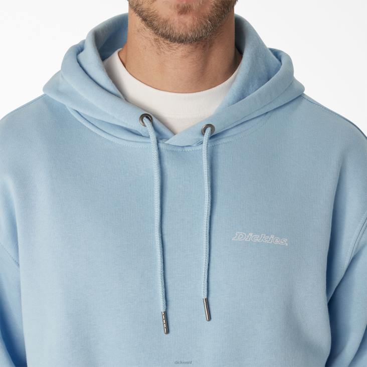 Heren Dickies Uniontown-hoodie normaal kleding 6F0X1094